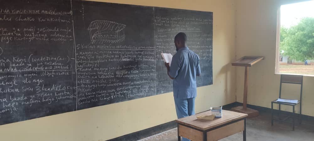 A lesson at the blackboard on mulching, watering and tree planting, with diagrams of seedling beds